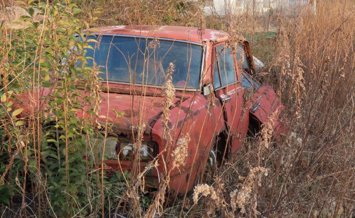 草生す車の屍